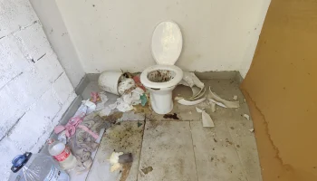 Poate cunoaste cineva , cine a distrus viceul ???.